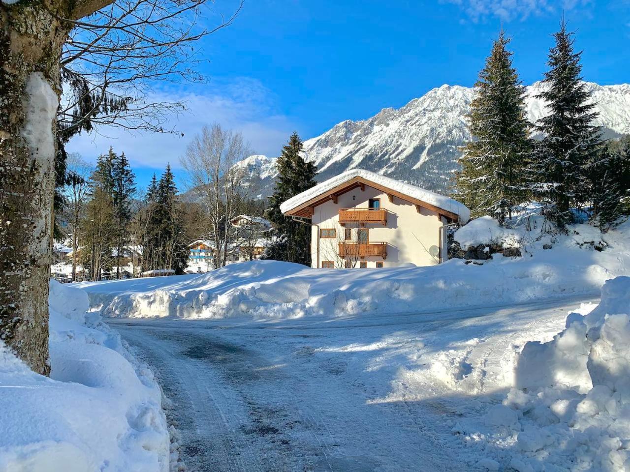 Haus Widmann Apartment Scheffau am Wilden Kaiser Exterior photo